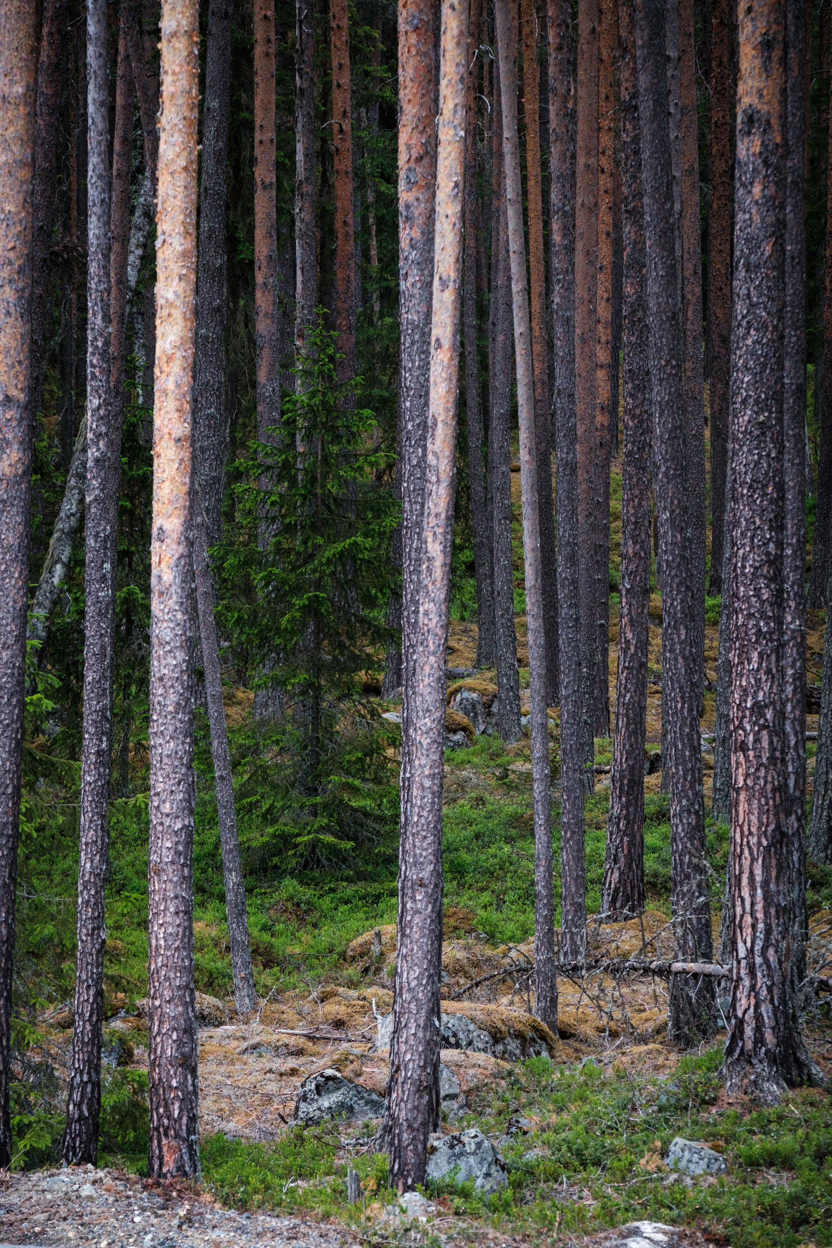 Hallingdal Kontorsenter Hafslund ECO WEB 06-25-32